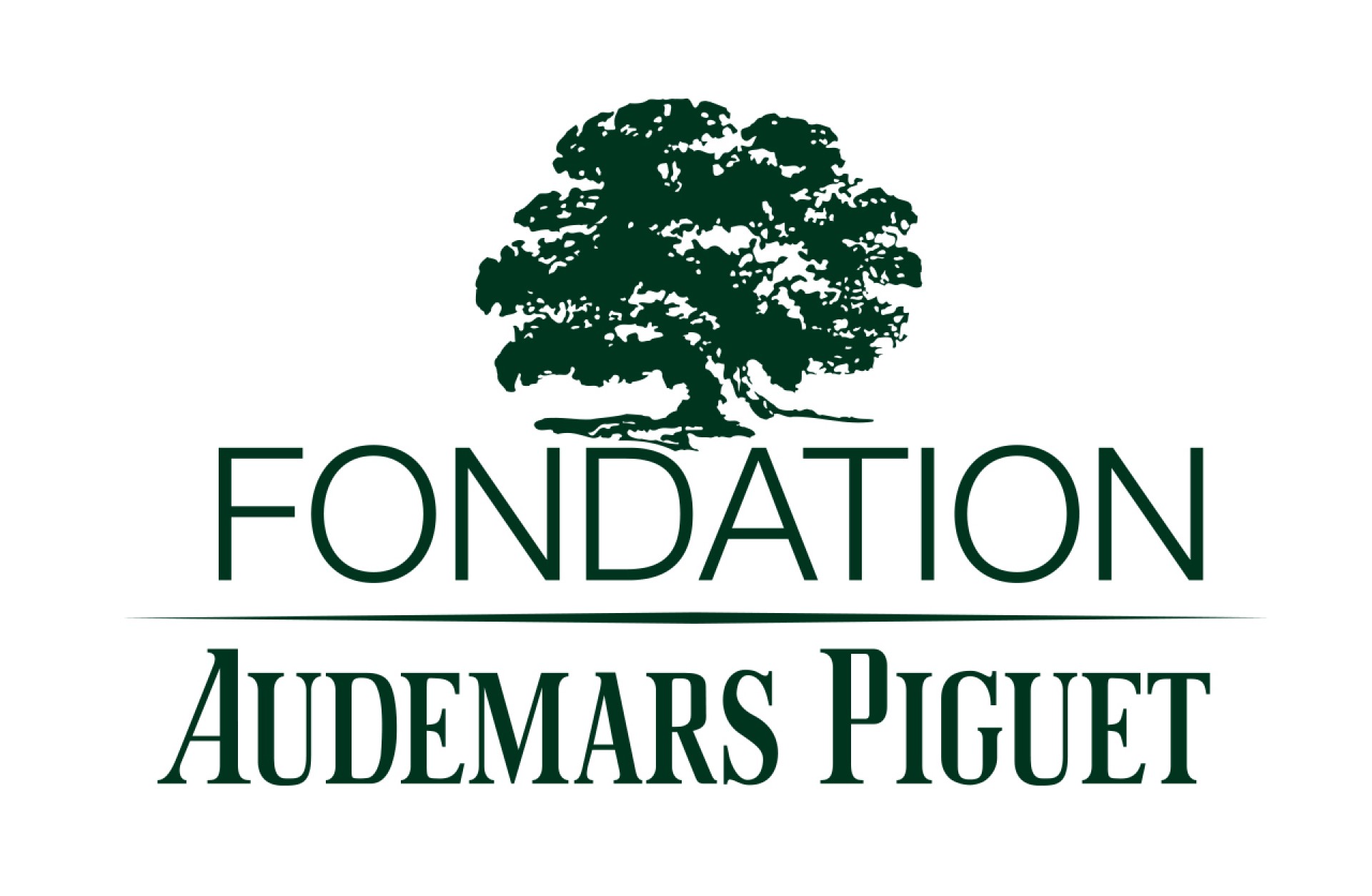 How the Audemars Piguet Foundation is Impacting Communities and the Environment