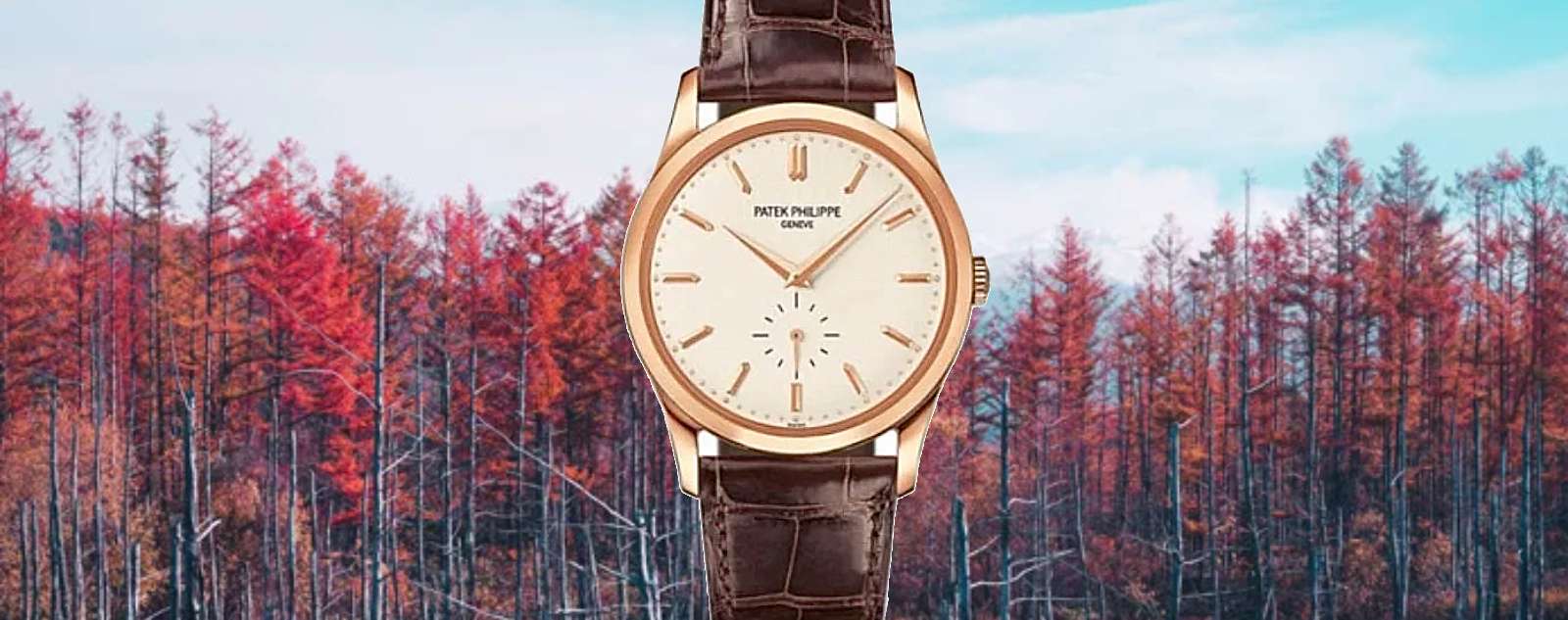 Discover the Iconic Patek Philippe Calatrava 5196: A Masterpiece of Swiss Craftsmanship